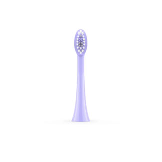 Ordo Sonic Brush Heads Violet 2 Pack